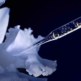 Orchidée Impériale Essence-in-Lotion