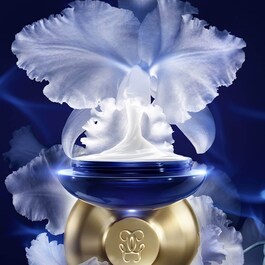 Orchidée Impériale The Rich Cream