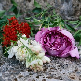 Bloom Profumo di Fiori - Eau de Parfum