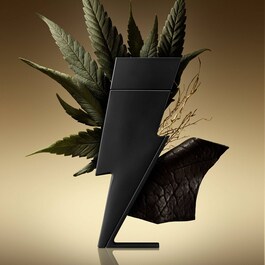 Bad Boy Le Parfum - Eau de Parfum
