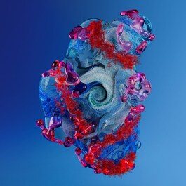 Blue Therapy Red Algae Uplift Night Cream