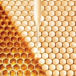 Abeille Royale Fortifying Lotion with Royal Jelly