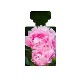 Ananda - Antioxidant-Rich Gentle Toner