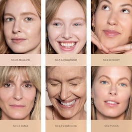 True Skin Serum Concealer
