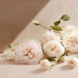 Fleur de Parfum
