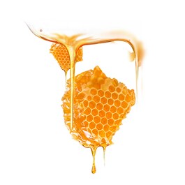 Manuka Honey UFO-Activated Mask