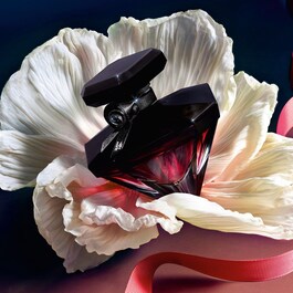 LA NUIT TRÉSOR FLEUR DE NUIT