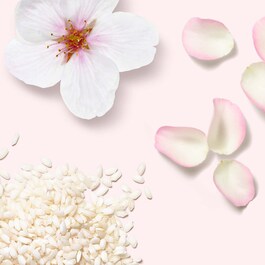The Ritual of Sakura Body Scrub