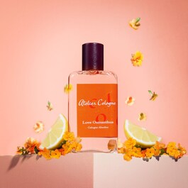 The product image is missing!