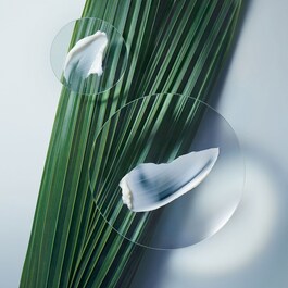 Botanical Repair Mask - Rich Intensive strengthening Mask