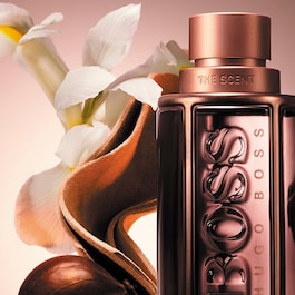 The Scent Le Parfum for Him