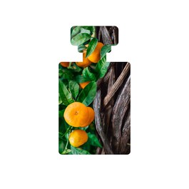 Aura - Manuka Honey Mask