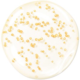 Abeille Royale - Youth Watery Oil Serum