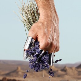K BY DOLCE&GABBANA - EAU DE TOILETTE