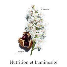 Nutri-Lumière Night Cream - All Skin Types