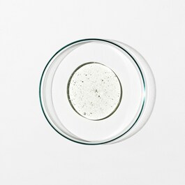 Hand Wash: Sweet Orange, Cedarwood, Sage 