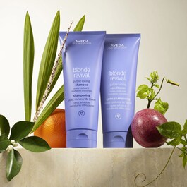 BLONDE REVIVAL SHAMPOO