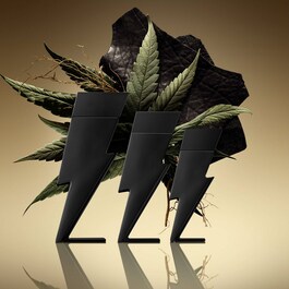 Bad Boy Le Parfum - Eau de Parfum