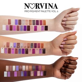 Norvina pro pigment palette vol. 5