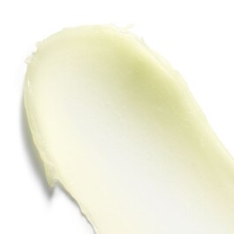 Sugar Mint Rush Lip Treatment
