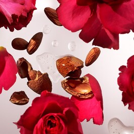 The Ritual of Ayurveda - Refill Hand wash