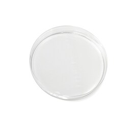 Cerafill Stemoxydine 5%