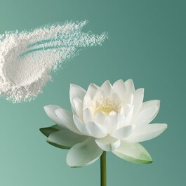 The Ritual of Karma - Φυσικό Αποσμητικό