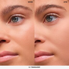 HD Skin Perfecting Loose Powder - Ανεπαίσθητη πούδρα σε σκόνη εξαιρετικό θόλωμα