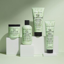 Seaweed Conditioner