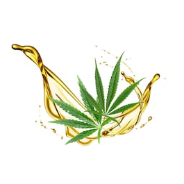 Cannabis Seed Oil - Face Mask