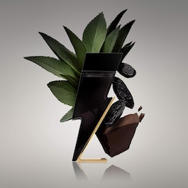 Bad Boy - Eau de Toilette