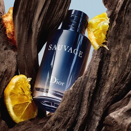 Sauvage Eau de Toilette