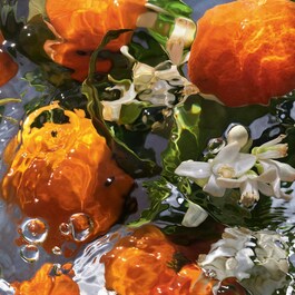 Aqua Allegoria Mandarine Basilic – Eau de Toilette Refill