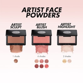 Artist Face Powders 4g