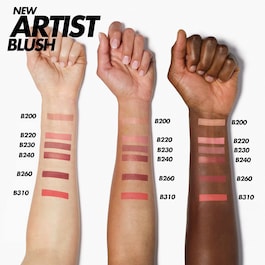 Artist Face Powders 4g