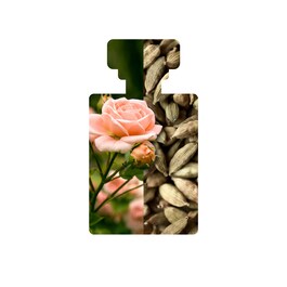 Hosanna - H2O Intensive Skin-Plumping Serum