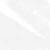 N°11 Universel Transparent (1,1 g)