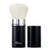 Kabuki Brush 17