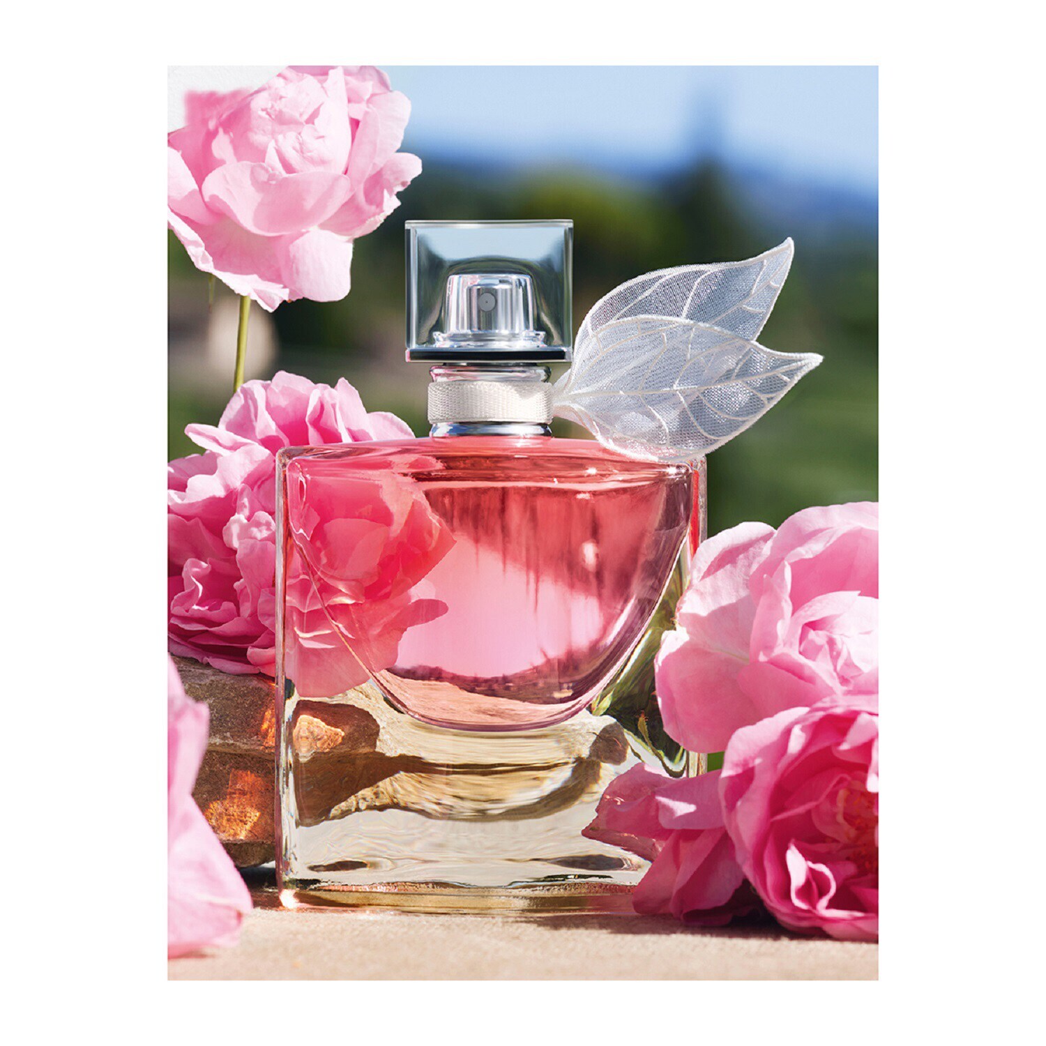 Lancôme La Vie Est Belle – Extrait De Parfum 30ml Édition Limitée Domaine De La Rose