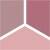 853 Rosy Canvas