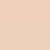 620407-PARURE SKIN FOUNDATION MATTE 1N