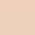 620407-PARURE SKIN FOUNDATION MATTE 1N